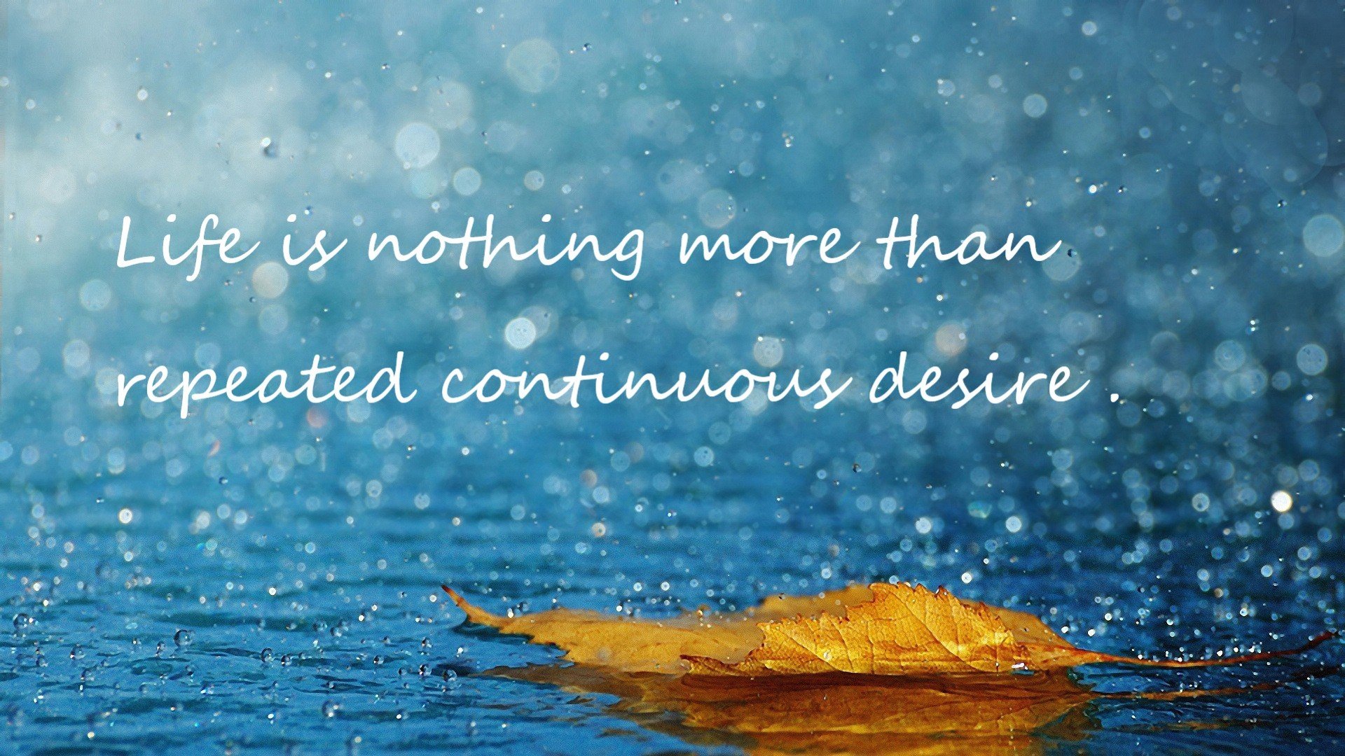 爱游戏体育-APEX英雄 青训营培养新秀成效明显，apex英雄训练营战术技能