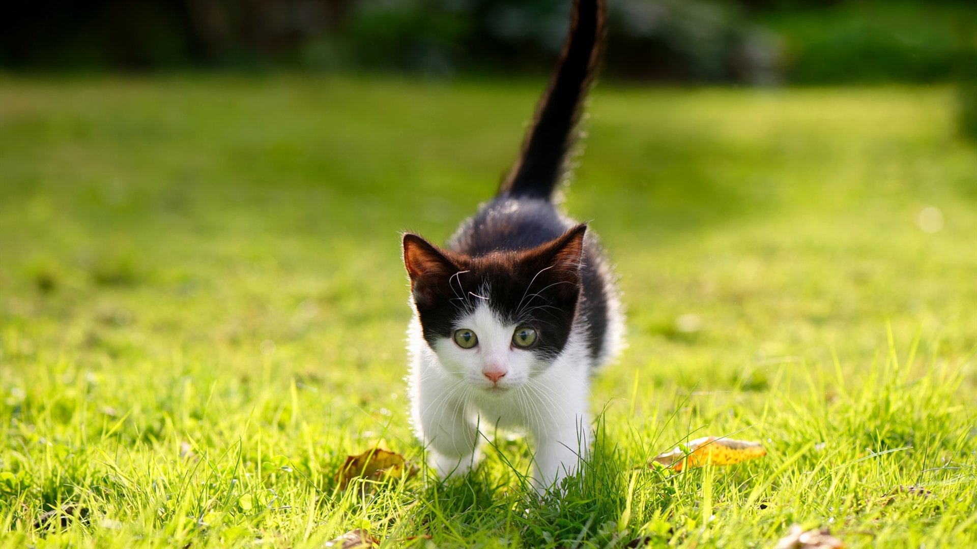 2025年度十大精彩瞬间盘点,激励未来新星