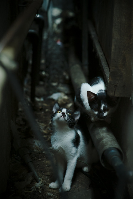 爱游戏体育官方网站-NBA推出“球员时光瓶”项目，记录退役前心声，nba时空