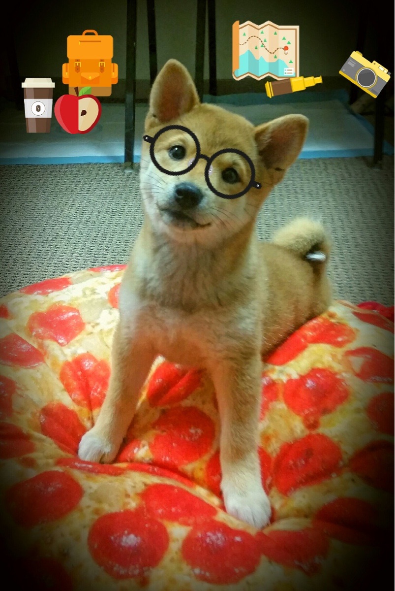 爱游戏体育（AYX）官方APP下载-《Hope：新人新希望，天赋令对手望尘莫及》