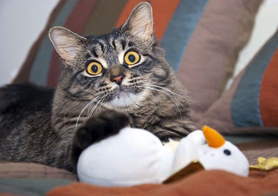 《Hope:新人新希望,天赋令对手望尘莫及》