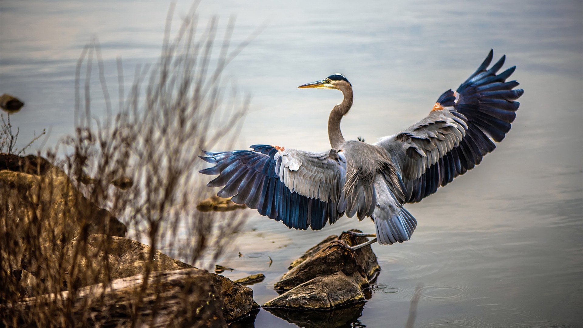 区块链在交易中的创新应用，让联盟交易更透明可信，区块链交易系统