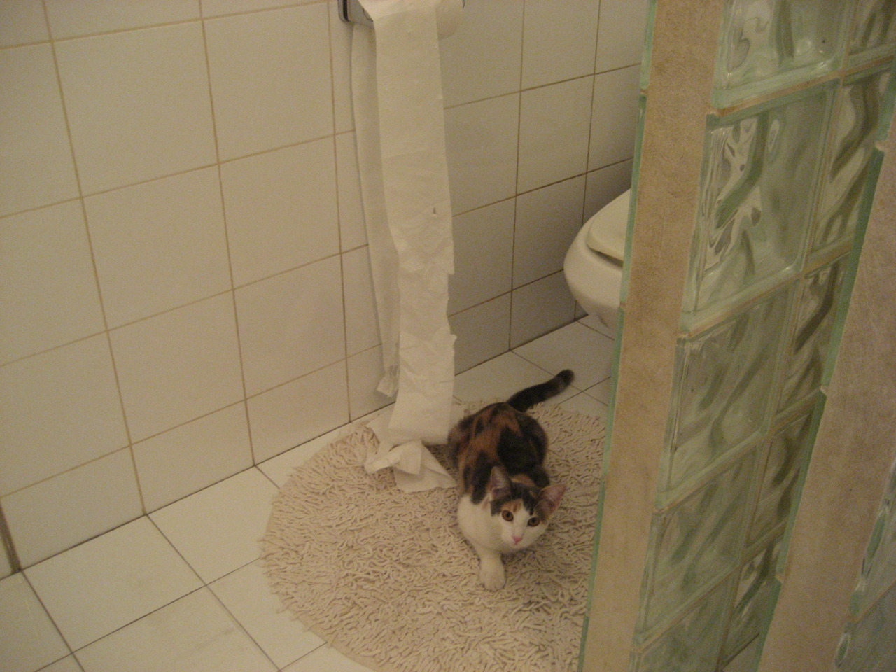 意甲：米兰双雄继续追赶领头球队，积分差距缩小到5分，米兰意甲夺冠阵容