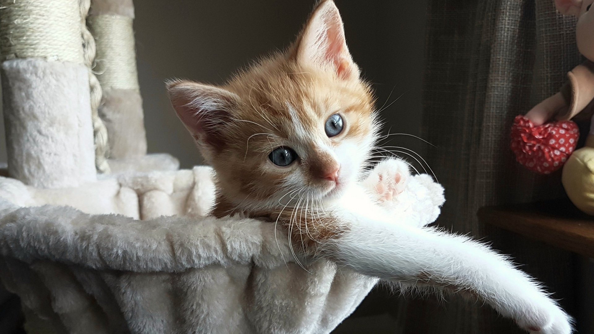 爱游戏官方-未来科技：智能传感器助力球员精准训练，智能传感器的发展前景如何