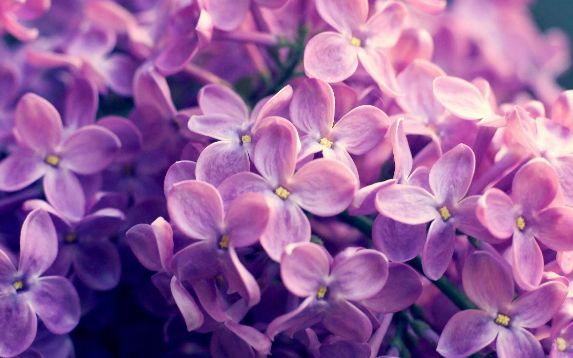 未来五年中国足球青训体系建设规划出台,中国的足球青训体系