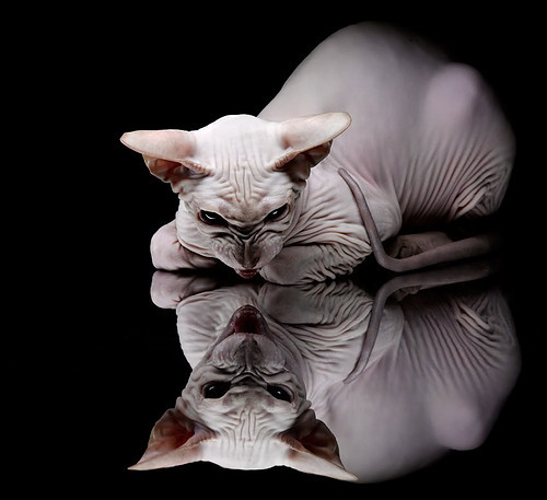 经典对决再现:那些令人怀念的“黄金对决”,电影经典对决