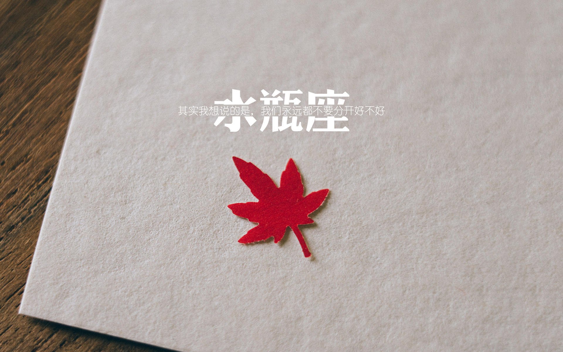 AIYOUXI.COM-赛场“明星搭档”，最令人羡慕的合作关系，明星赛规则