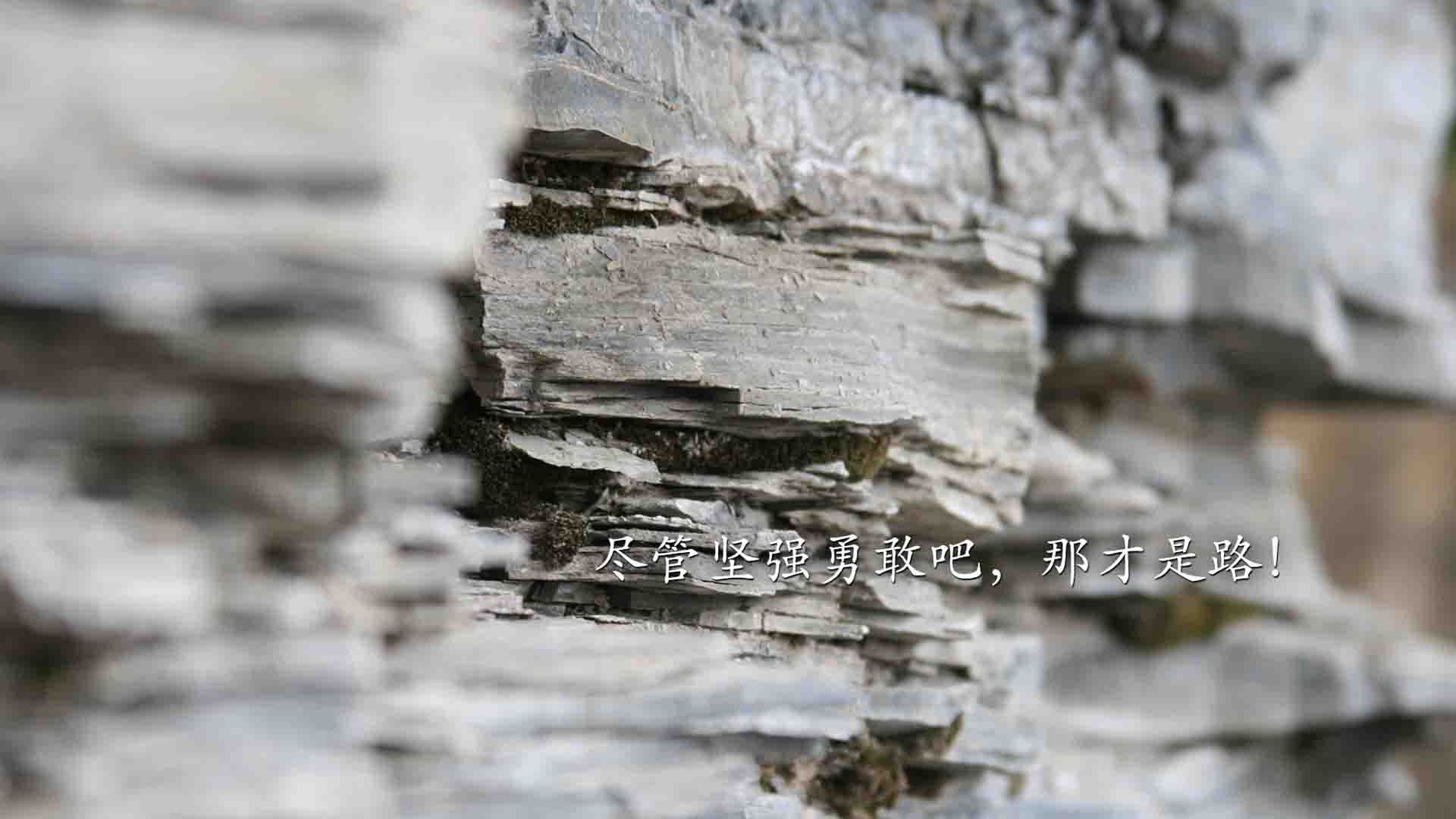 超级马里奥“速度传奇”全国挑战赛火爆进行，超级马里奥 极速世界