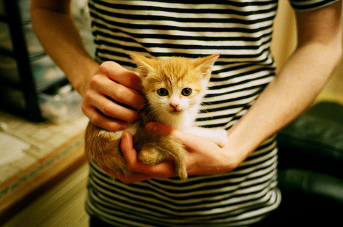 青少年电竞保护措施不断完善,预防沉迷,促进健康成长,青少年玩电竞游戏