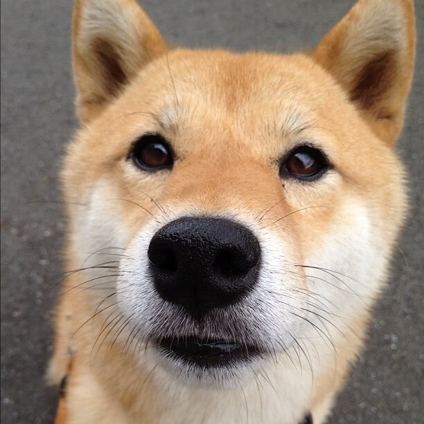 爱游戏综合娱乐-NBA历史上的今天：乔丹再次破纪录荣登得分王巅峰，乔丹历史总得分多少