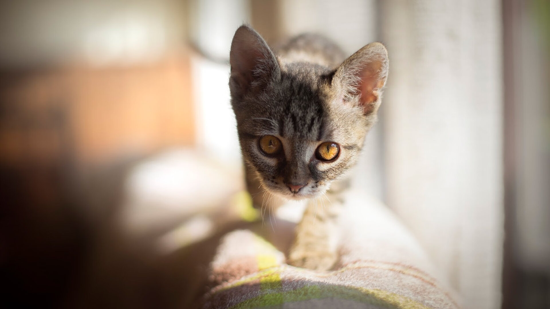 上港队员表现抢眼,顶住对手压力,上港队训练