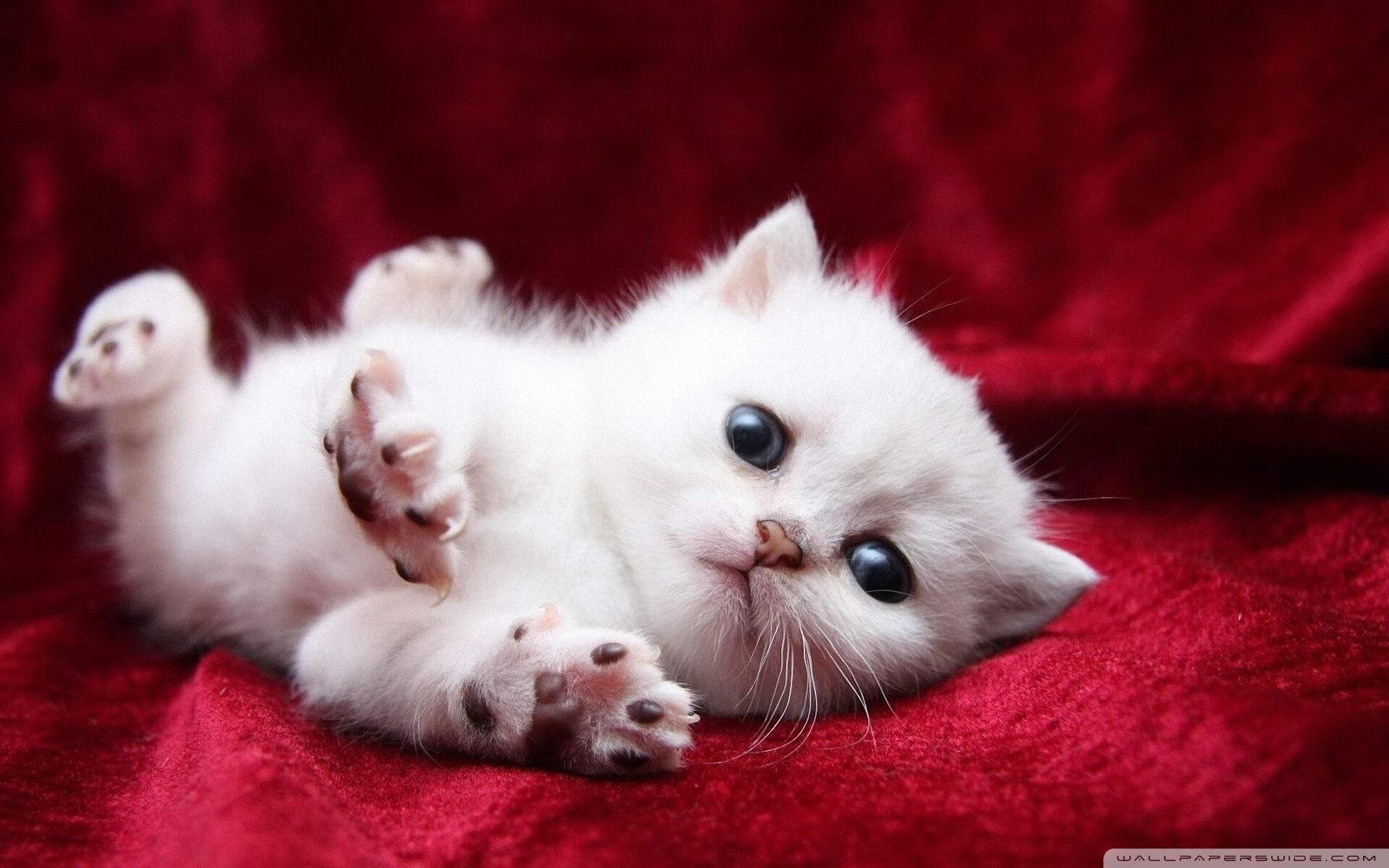 AYX体育-中国女足表现出色，在比赛中占据优势，请问中国女足