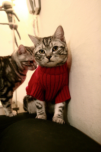 AYX官网-圣日耳曼客场表现迟滞，盼主场反弹，圣日耳曼足球