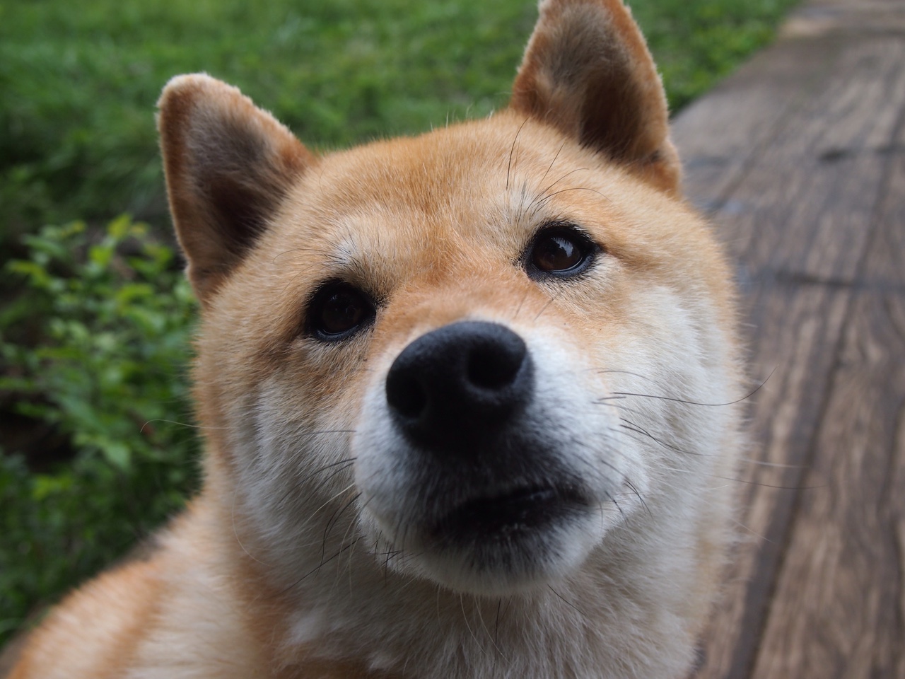 圣日耳曼客场表现迟滞,盼主场反弹,圣日耳曼吧