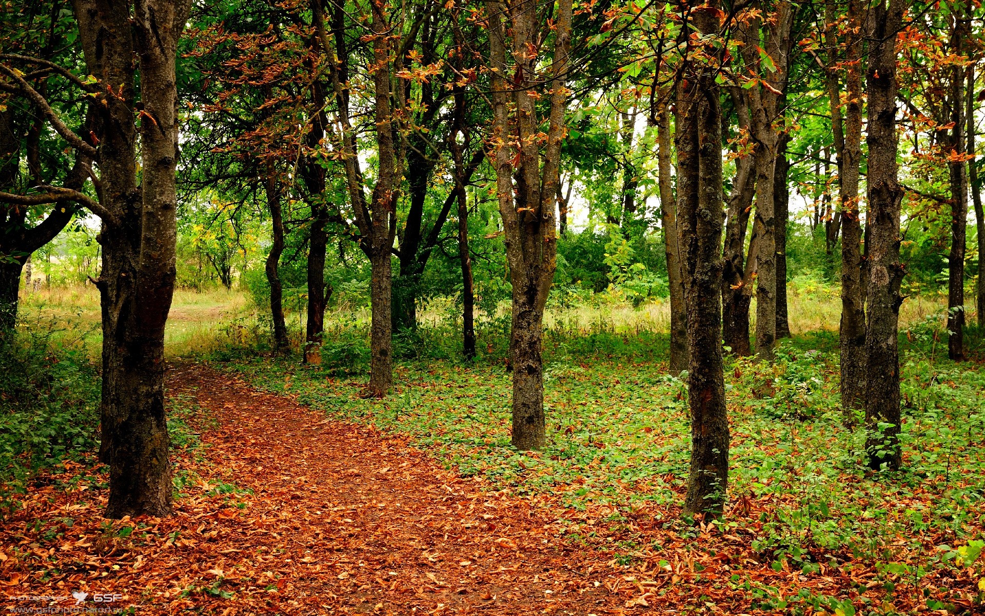 爱游戏体育官方网站-塞尔提克赢得惊险胜利，打败篮网保持领先，塞尔提长什么样