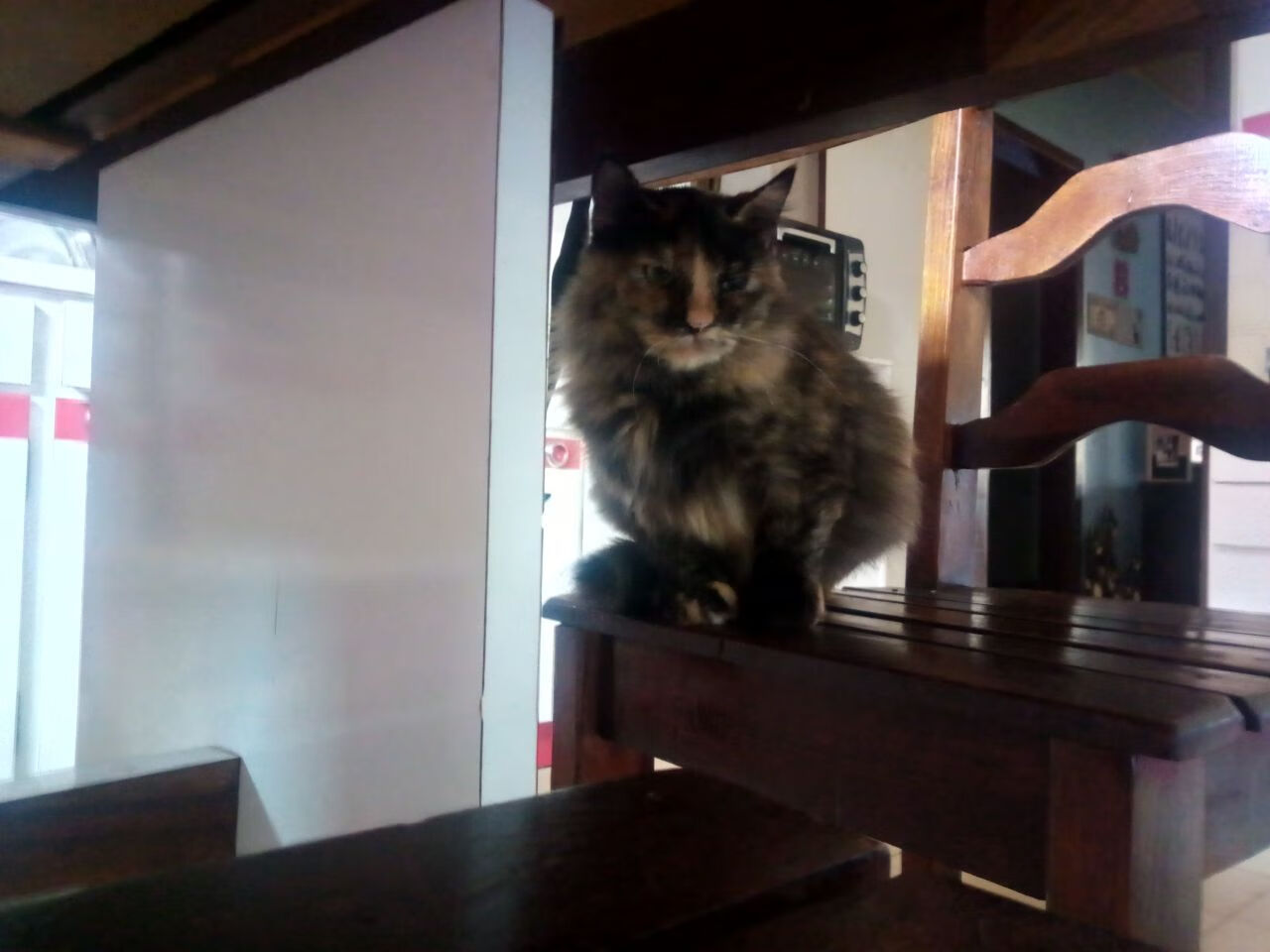 AYX官网-激烈马术场地障碍赛压轴上演，马术场地障碍赛规则说明介绍