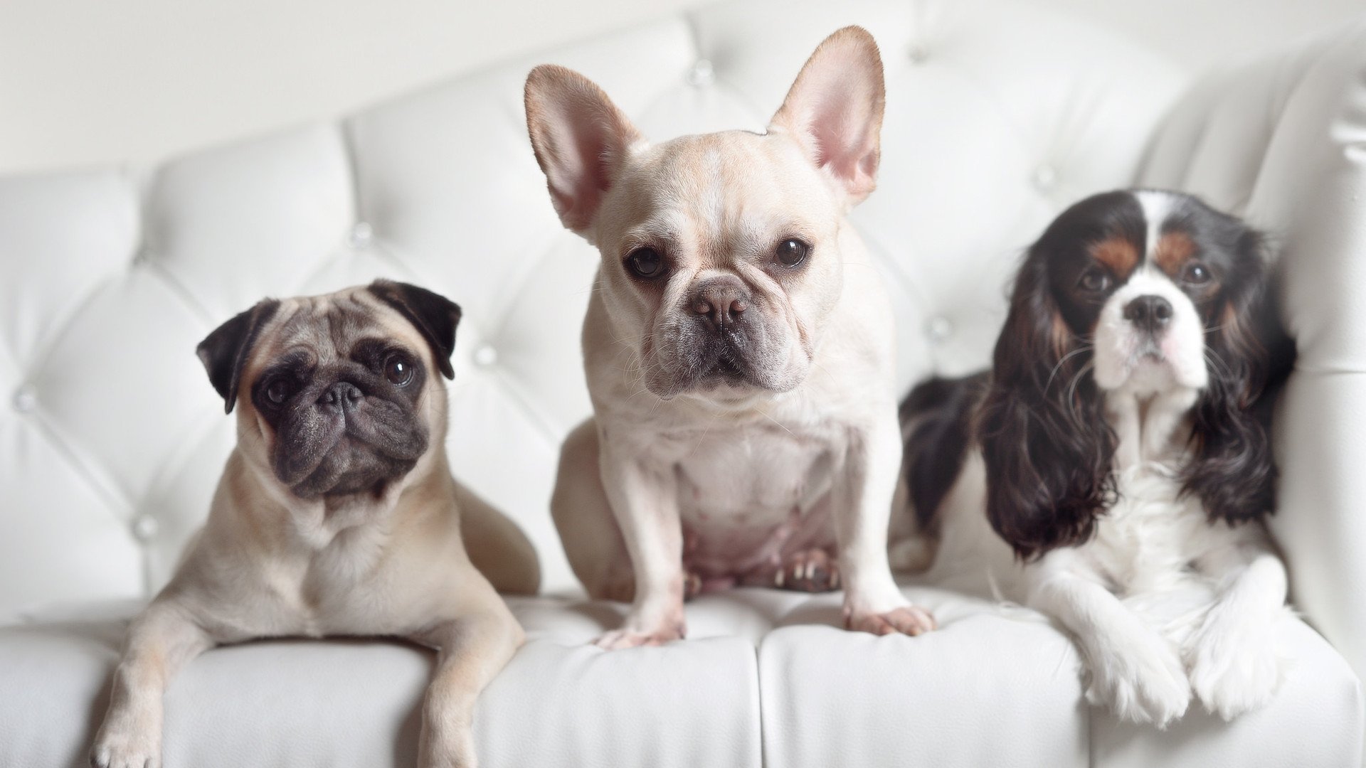 世界攀爬锦标赛中国初次参赛获好评，攀岩 世锦赛