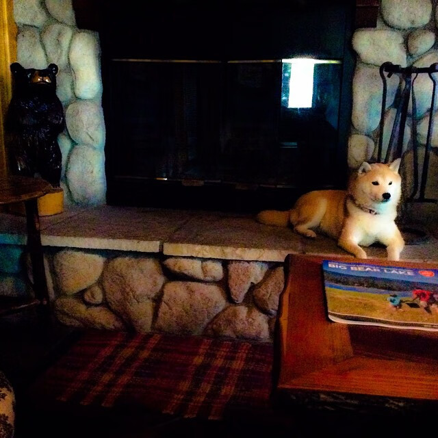 新闻中心落实安全生产责任，落实安全责任保障安全生产稿件