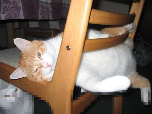 爱游戏官方网站-中超联赛中国青年队战胜 球迷欣喜若狂，中国足球青年超级联赛