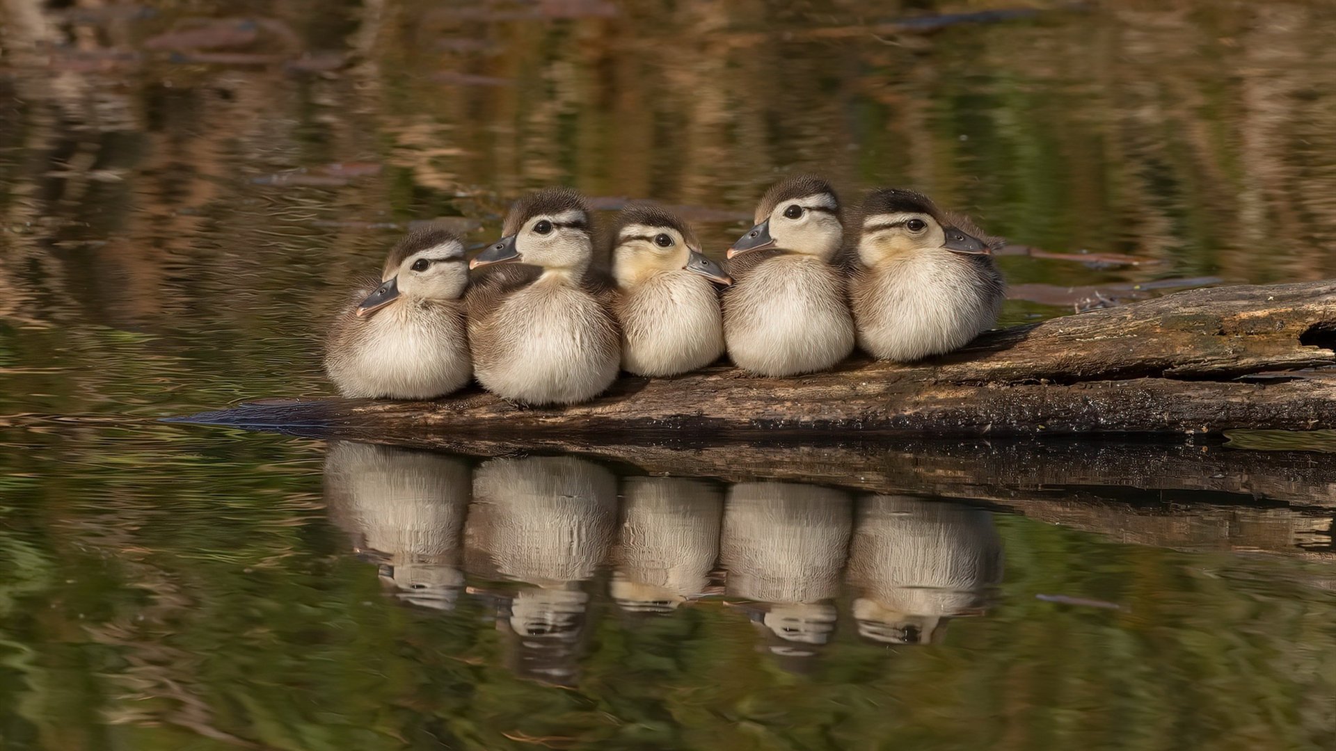 爱游戏体育app-中国足球职业联赛球队战术水平稳步提升，中国足球业余联赛球队