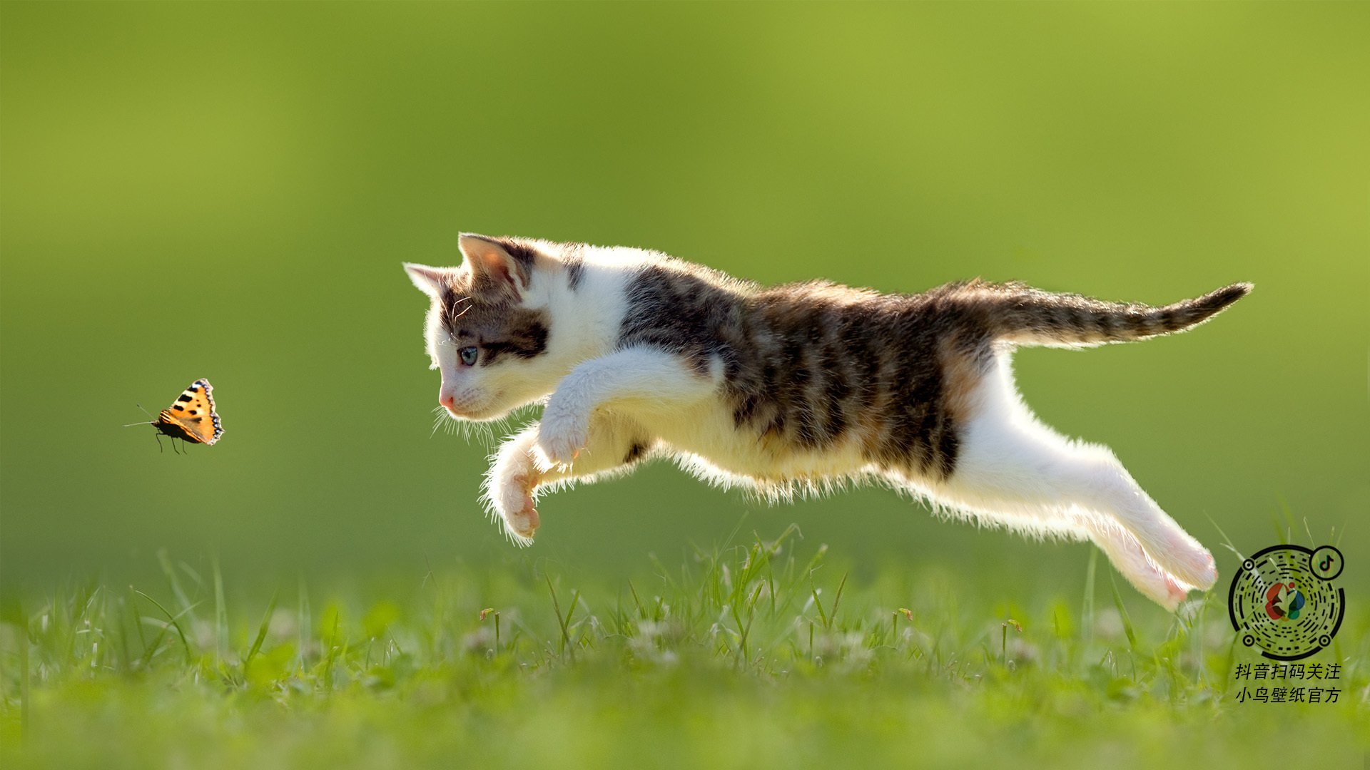 基层联赛推动体育下沉城市体育基础建设加快发展，基层体育竞赛的比赛方法