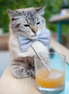 爱游戏在线登录入口-国青队积极备战亚洲青年赛争取小组出线突破，中国国青比赛视频