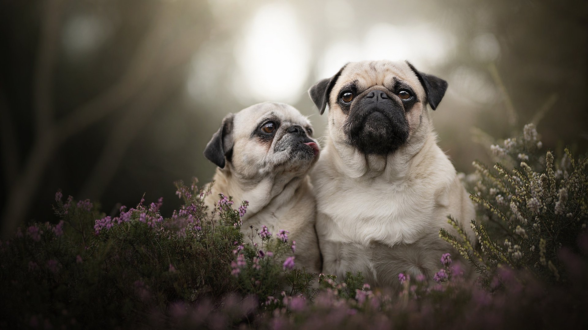 爱游戏娱乐-科尔博稳定发挥助力夺冠，赢得掌声，科尔博机械有限公司
