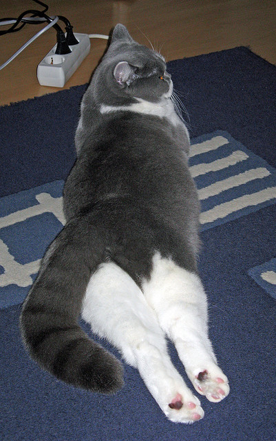 艾比·德尔福:出色的反击能力,成为南非队攻守转换的核心,艾比 里德尔