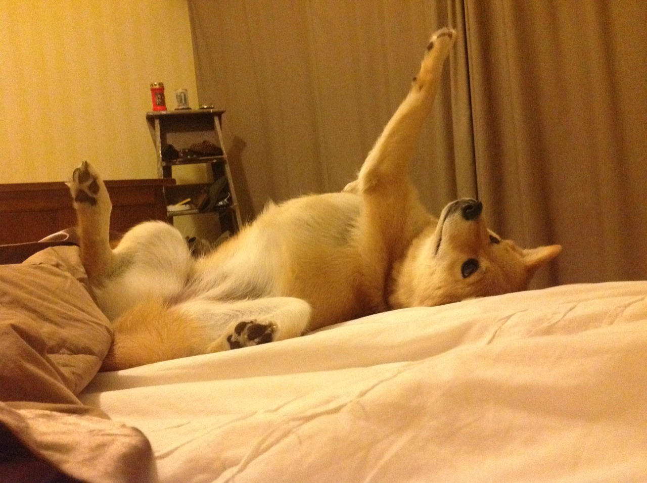 爱游戏体育（AYX）官方APP下载-西甲逆转比赛：绝杀时刻让人难忘，西甲倒数第几降级