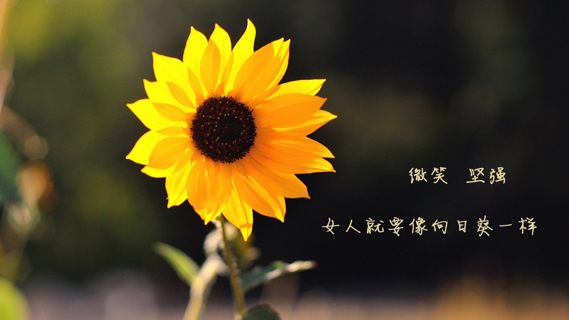 雷霆强化体能训练提升整支球队比赛韧性，雷霆体育