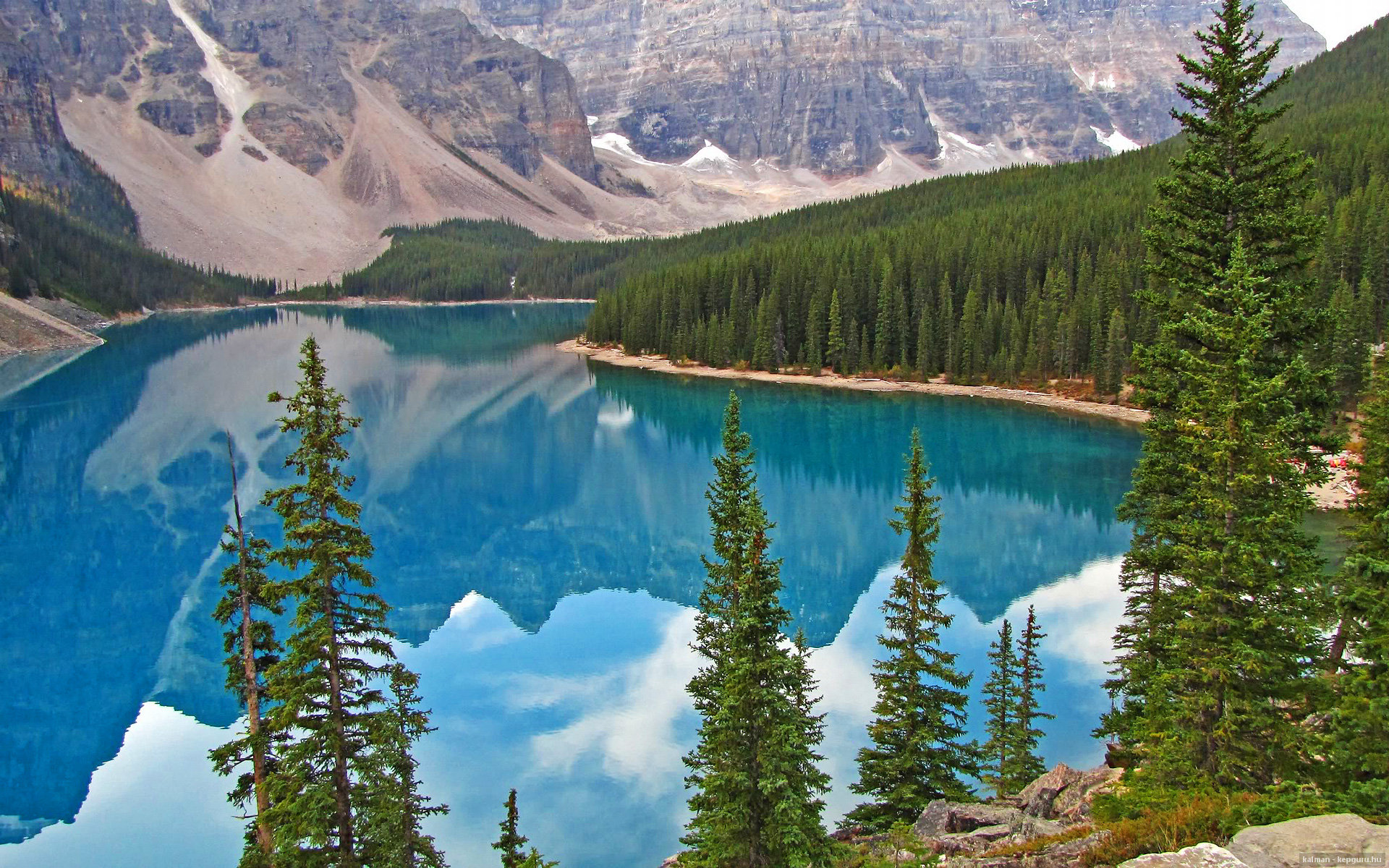 麦肯齐：凭借精准的反击和快速的移动，他成为全黑队背后位置的最强球员